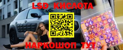 стафф Донецк