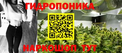 бошки Донской