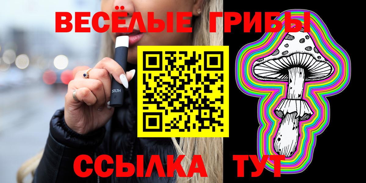 Псилоцибиновые грибы Psilocybine cubensis Ростов Великий